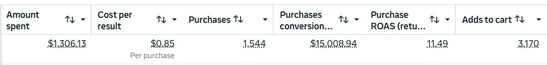 Meta Ads results screenshot