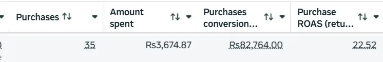 Meta Ads results screenshot