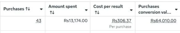 Meta Ads results screenshot