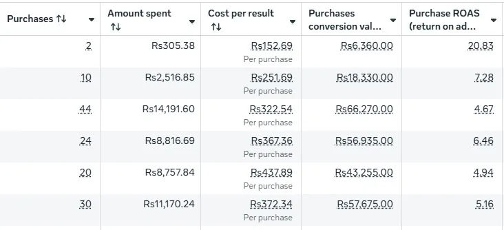 Meta Ads results screenshot