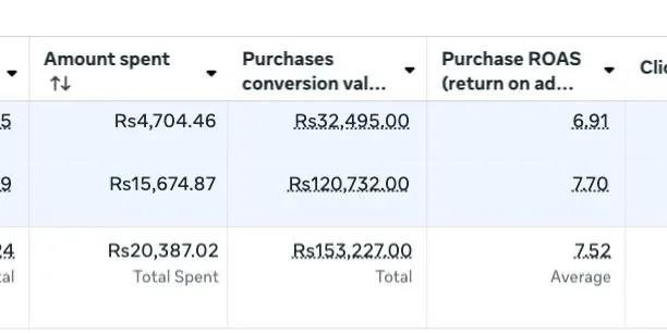 Meta Ads results screenshot